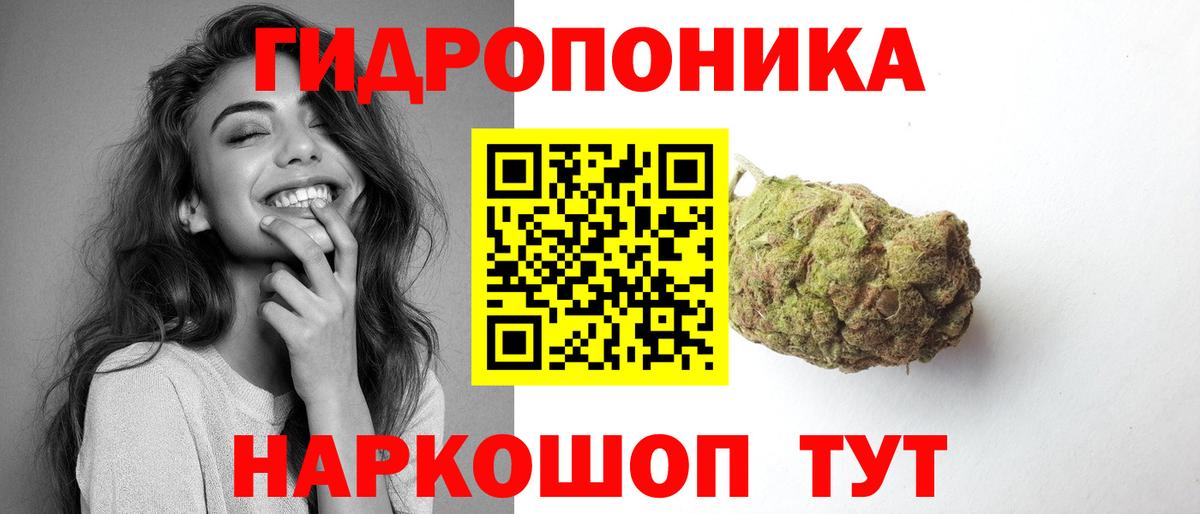 Новозыбков  Шишки марихуана планчик  Вход с VPN  Бошки марихуана OG Kush  Бошки Шишки сатива 
